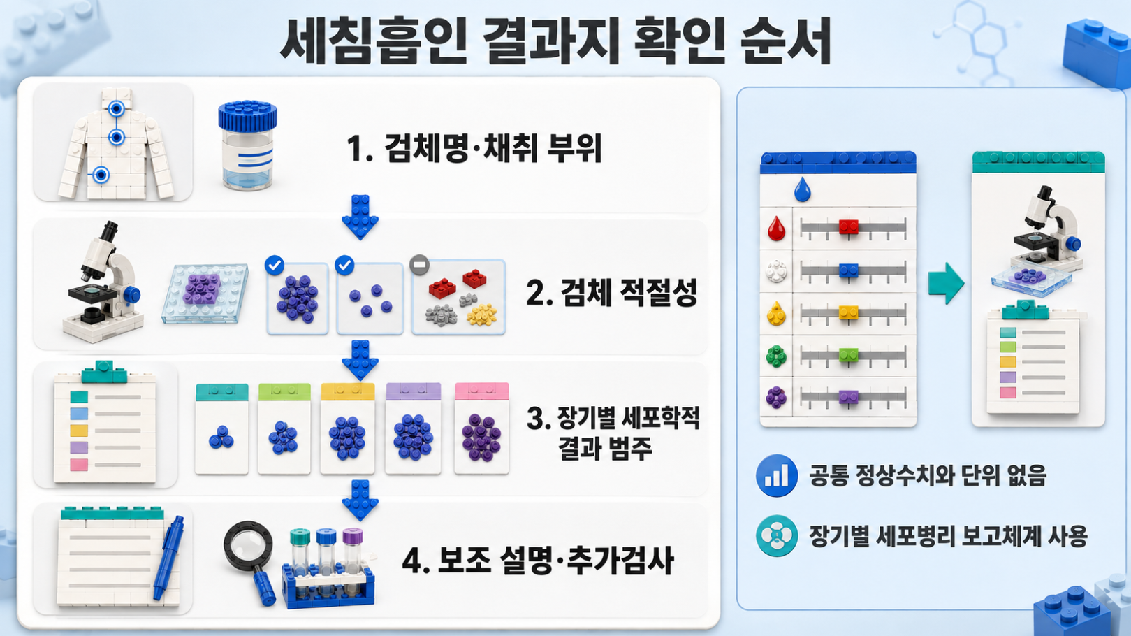 세침흡인 결과지에서 검체명과 채취 부위·검체 적절성·세포학적 결과 범주·보조 설명을 확인하는 순서