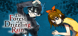 안개비가 내리는 숲 이미지