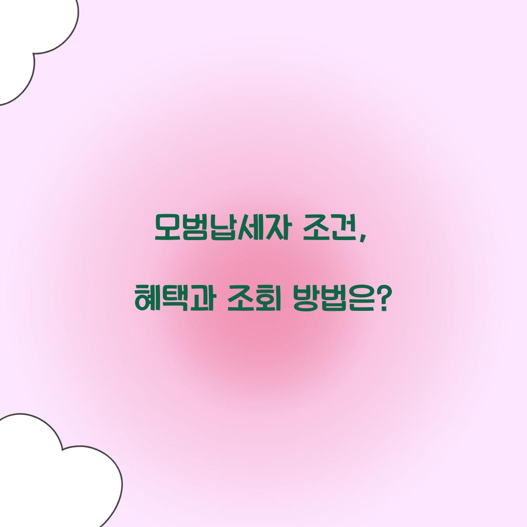 모범납세자 조건