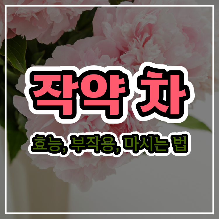 여성에게 좋은 작약차 효능, 부작용, 마시는 법