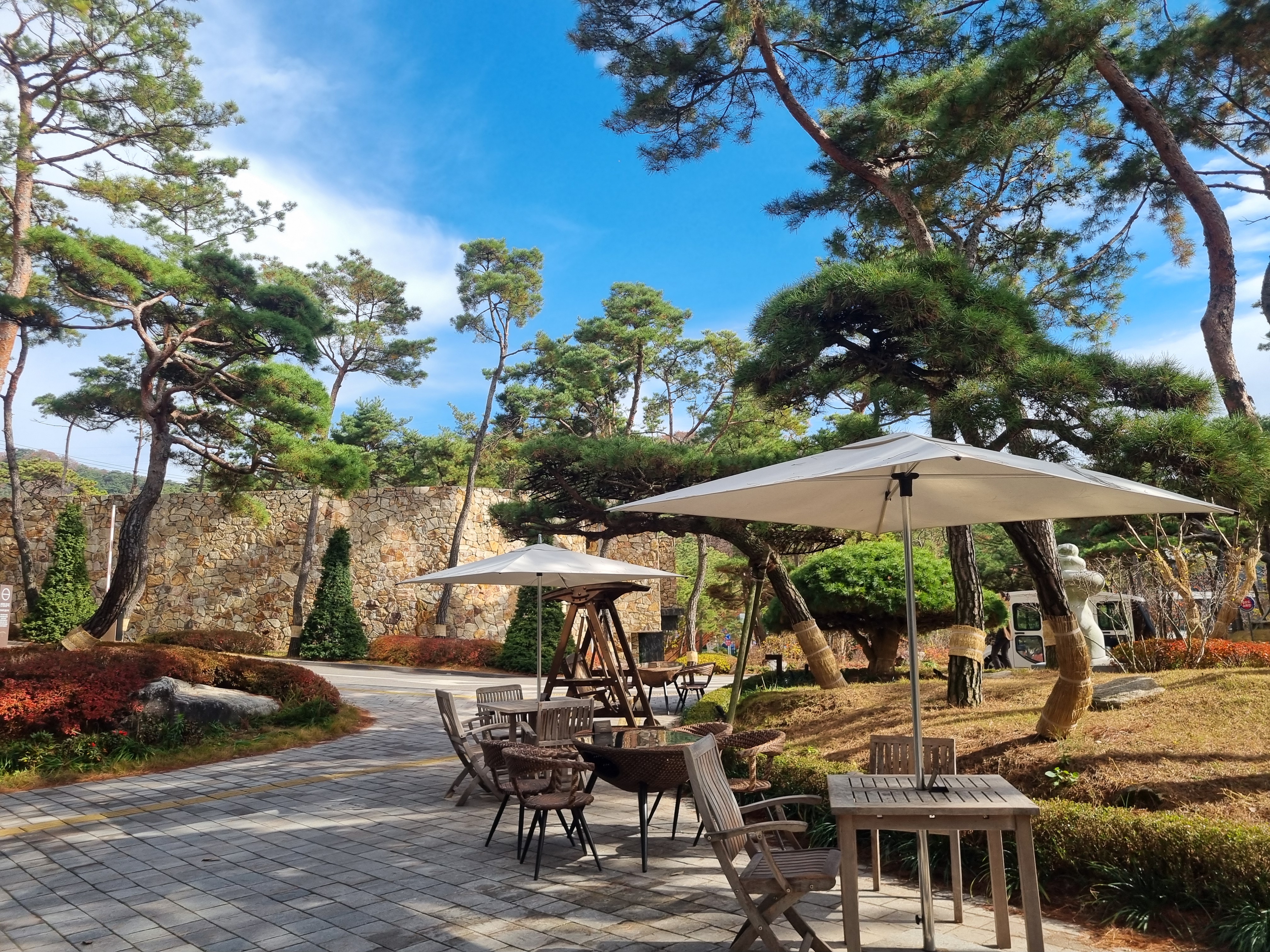 파라스파라 스타벅스