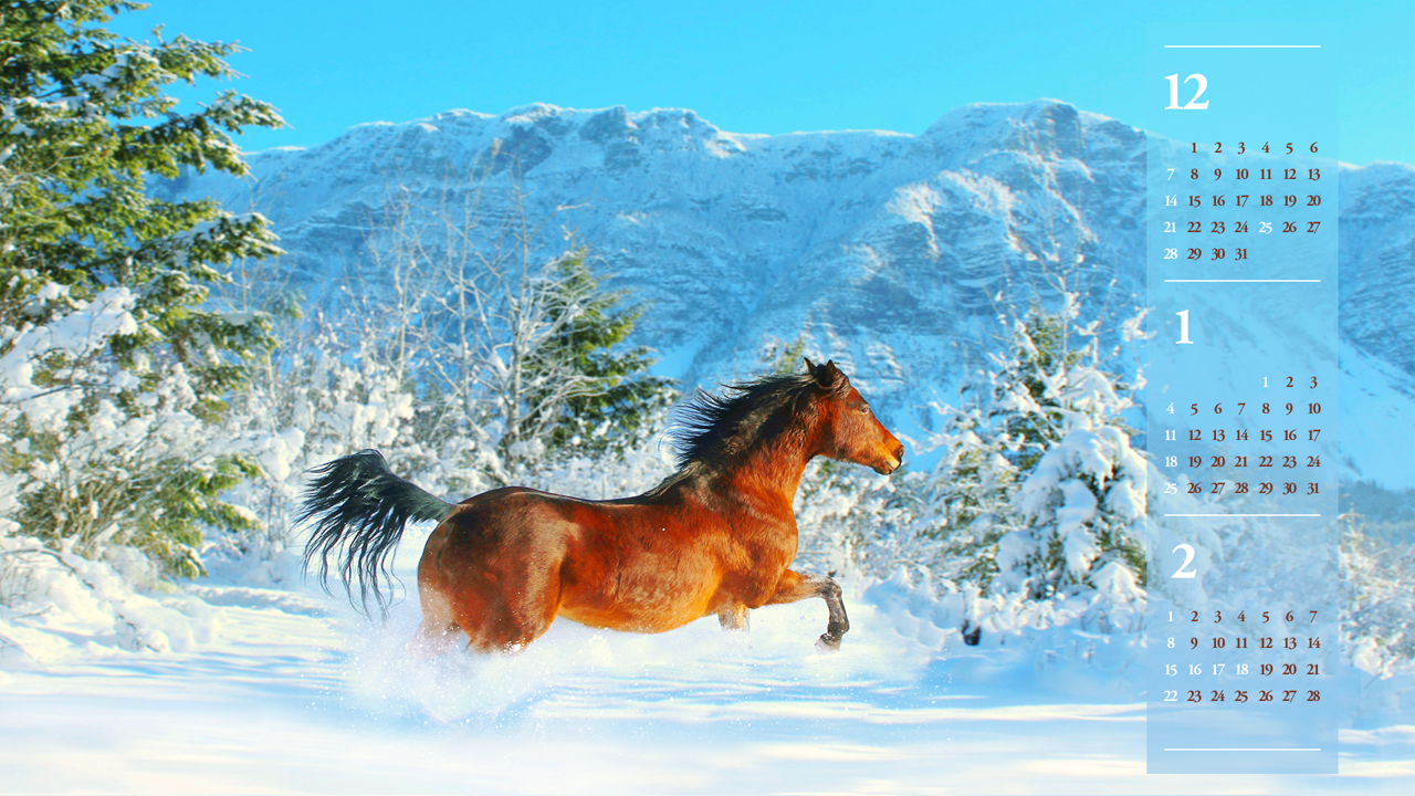 01 눈 위를 달리는 갈색 말 B - 2026년1월 달력배경화면