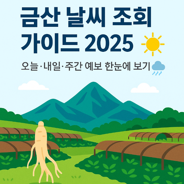 금산군 날씨 조회