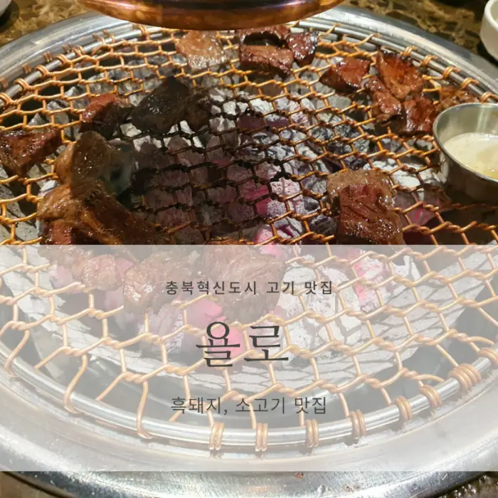 욜로 썸네일