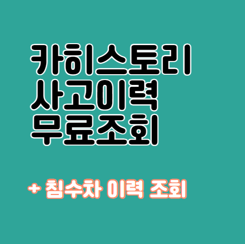 카히스토리 무료조회