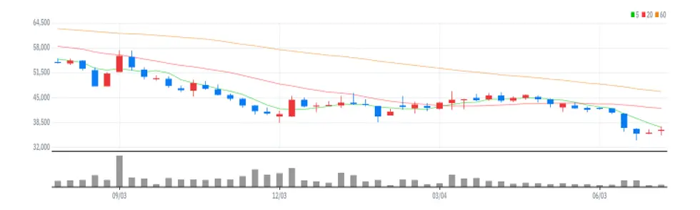 슈피겐코리아 주봉