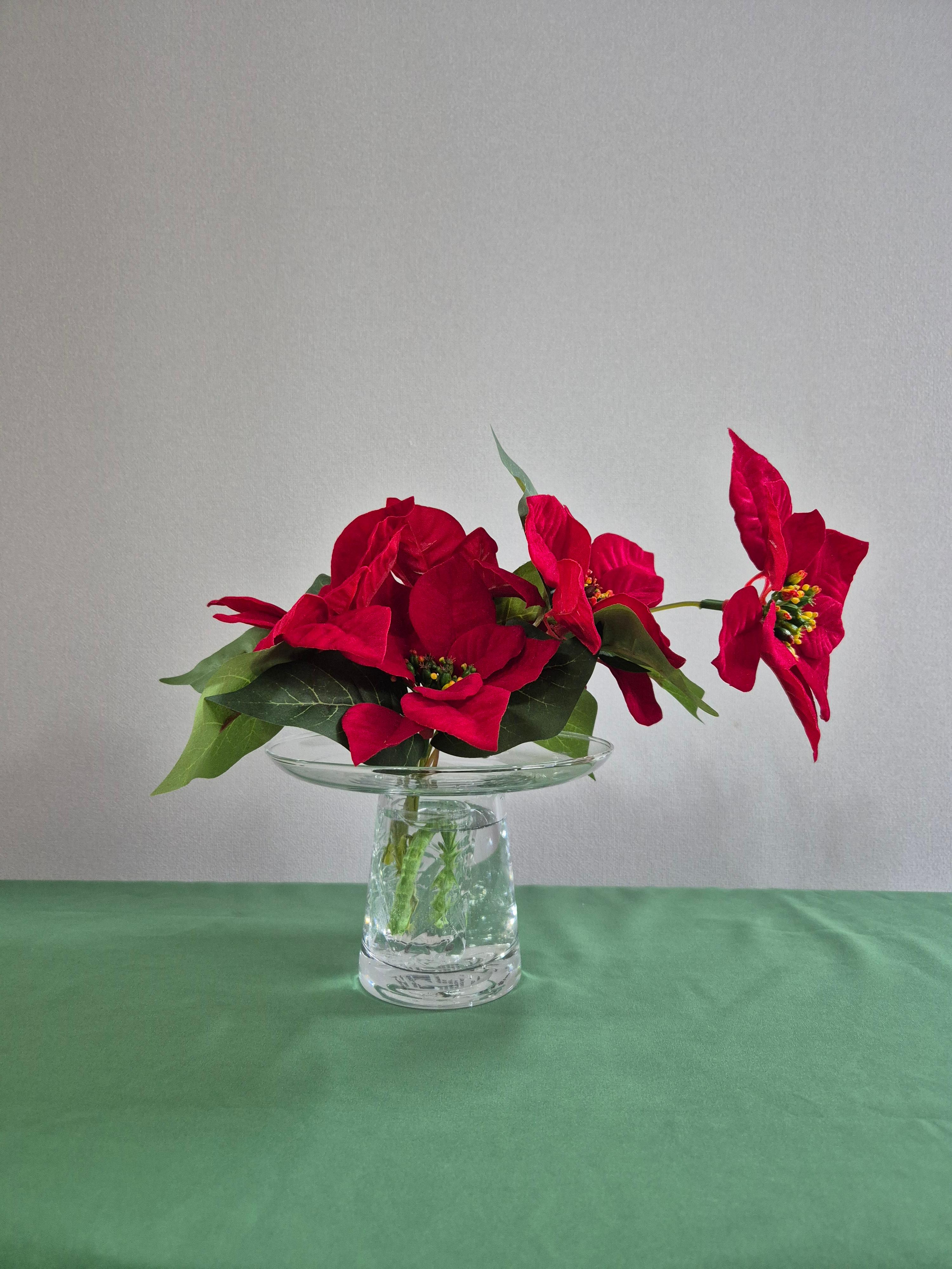 당진 포마이그린 꽃집&amp;#44; 화분&amp;#44; 꽃&amp;#44; 테라리움&amp;#44; 스칸디어모스 - 솔뫼성지 로컬푸드 입점&amp;#44; 테라리움수업&amp;#44; 꽃수업