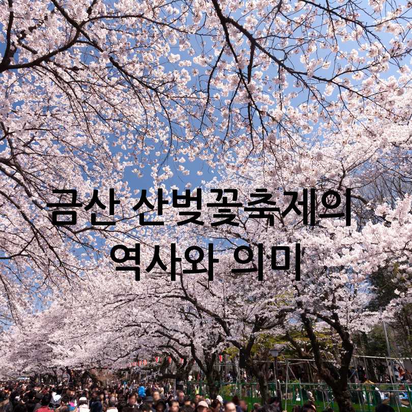 금산 보곡산골 산벚꽃축제