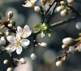 모바일 운전면허증 발급방법