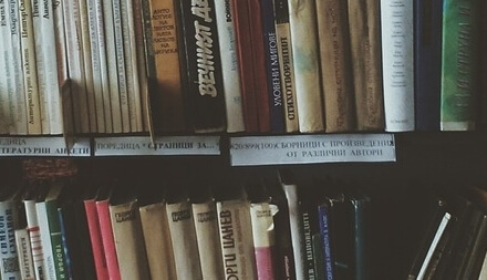 먼지다듬이 벌레