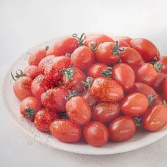 방울토마토 재배 방법_19