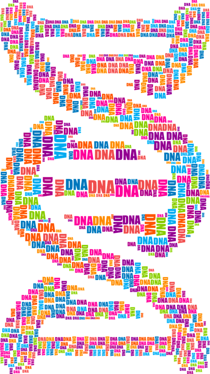 인간은 왜 아름다움을 느끼는가?