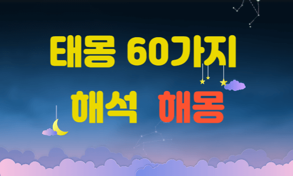 태몽 60가지 해석 태몽 해몽