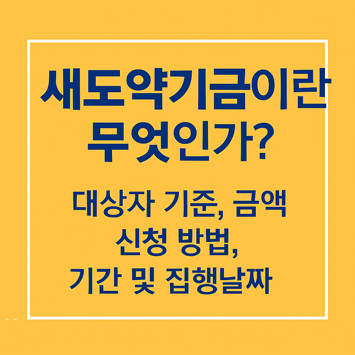 새도약기금이란 무엇인가? 대상자 및 제외 기준, 금액, 신청 방법, 기간, 집행날짜