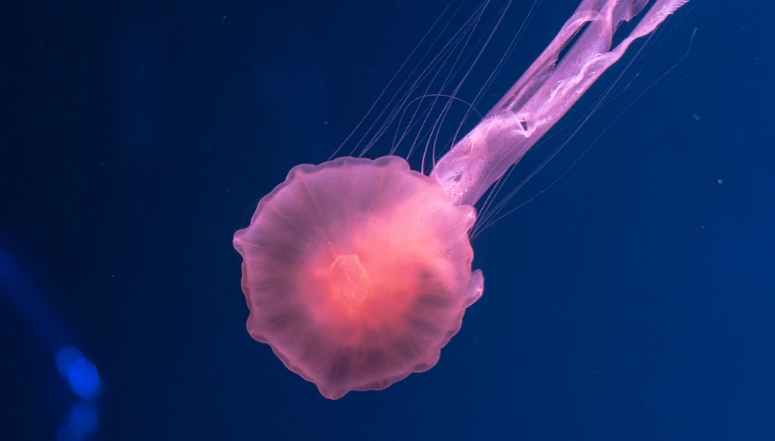 신경통의 다양한 종류와 증상