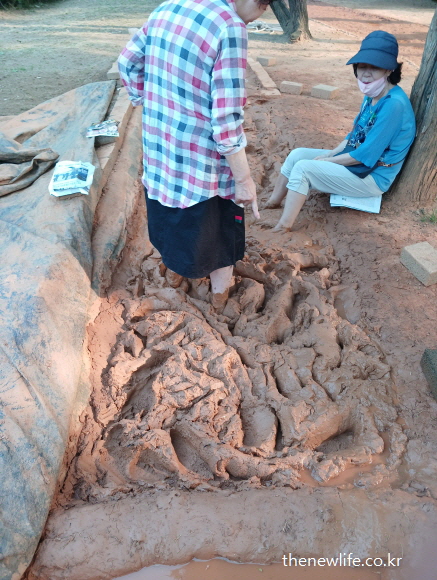 황토 진흙 위를 맨발로 걸으며 수면 개선 효능을 체험하는 모습