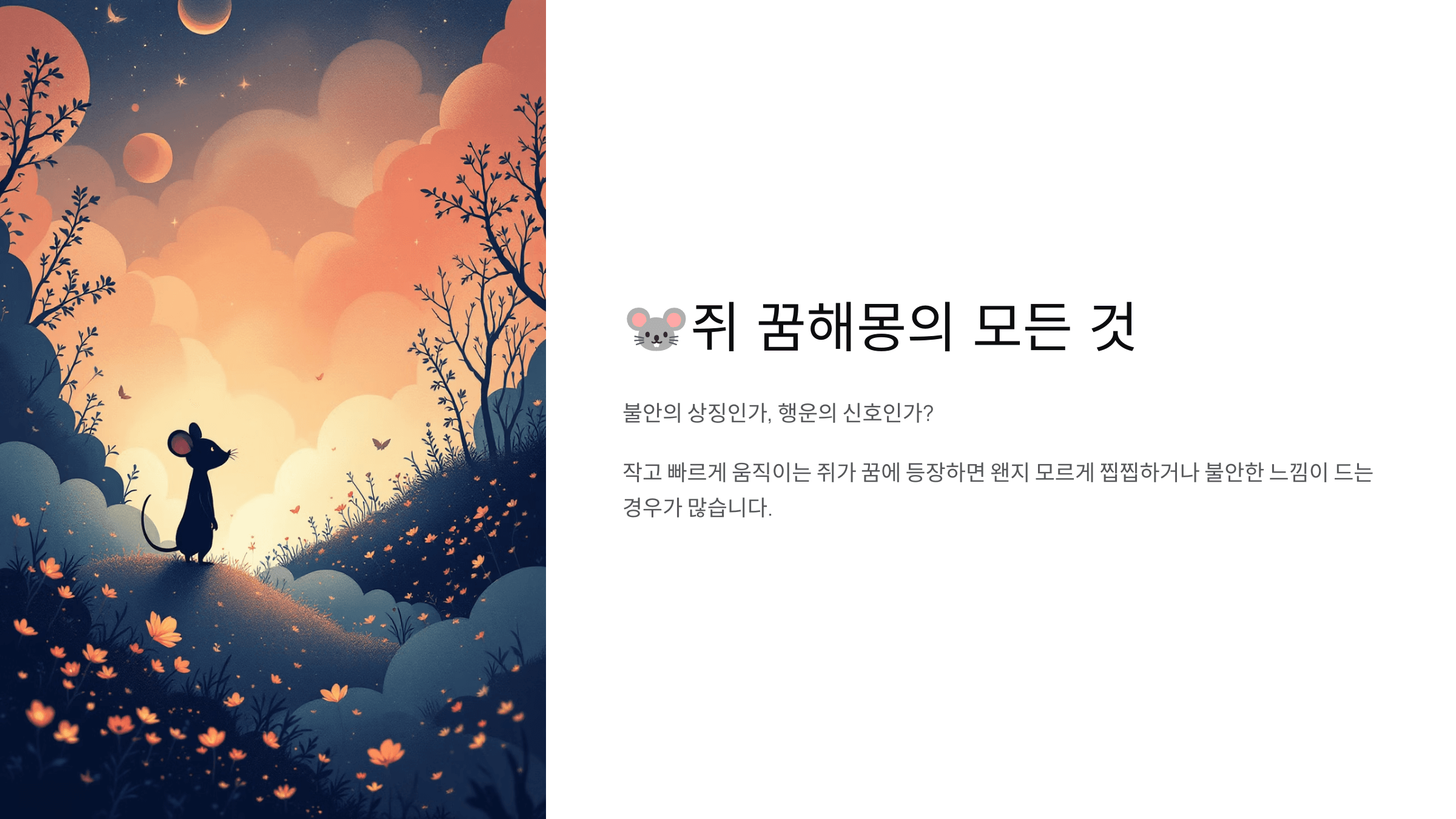 쥐 사진입니다.