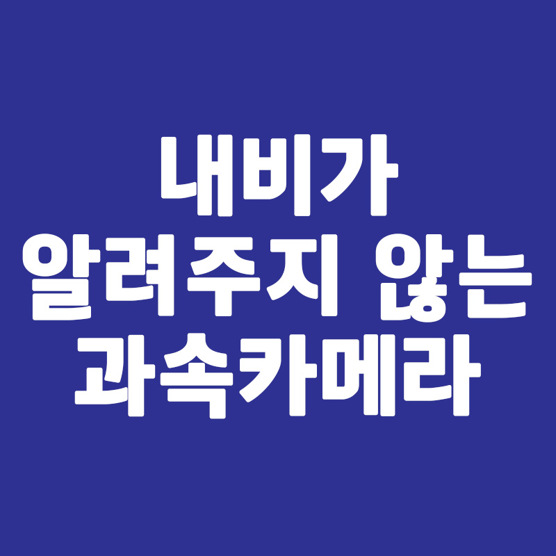 내비가 알려주지 않는 과속카메라