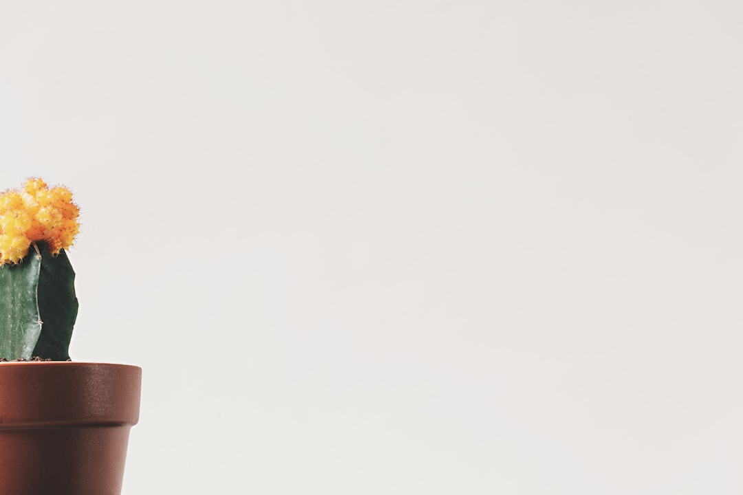 Minimalism.
