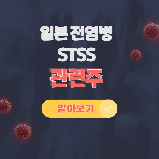 일본 전염병 STSS 관련주