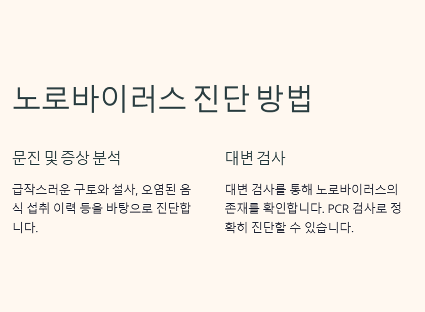 노로바이러스