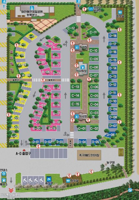 자동차 전용구역만 잘라낸 배치도