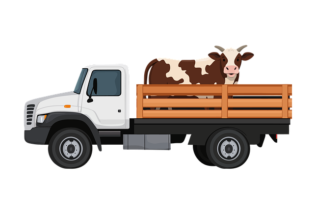 옥상 텃밭의 장점과 효율적으로 운영하는 방법