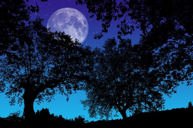 정월대보름, 건강과 복을 기원하는 날에 아이와 함께 먹기 좋은 오곡밥 레시피