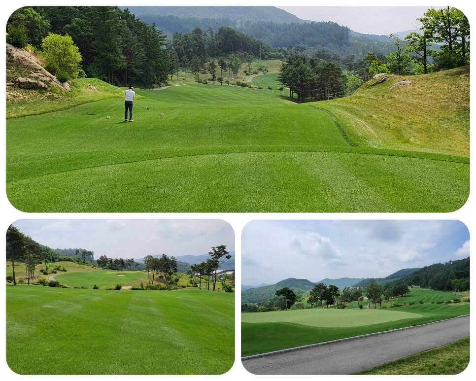 골프장 경험담 홍천 세이지우드cc 사람이 가장 쾌적함을 느끼는 해발 765m에서 경험하는 자연, 골프, 쉼
