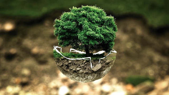 환경보호
