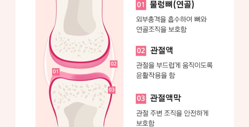 무릎 관절3