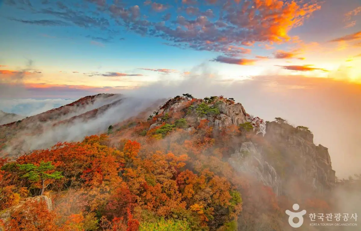 대둔산 단풍