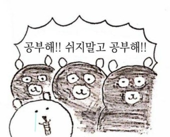 모의고사 등급컷