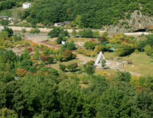 6월 전국 등나무꽃 명소 TOP 5