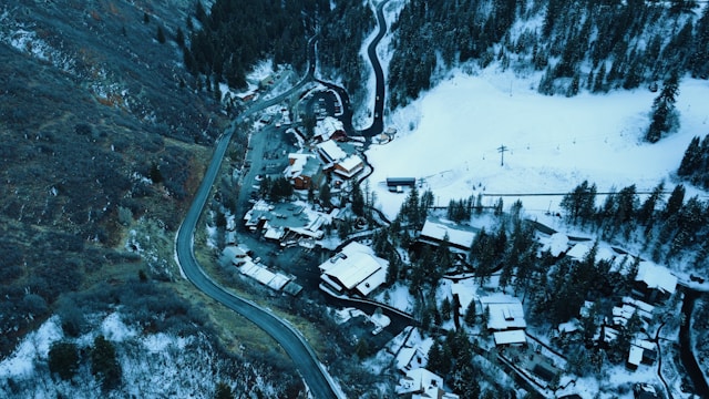 반려견 동반 명절 추천 리조트 BEST 5