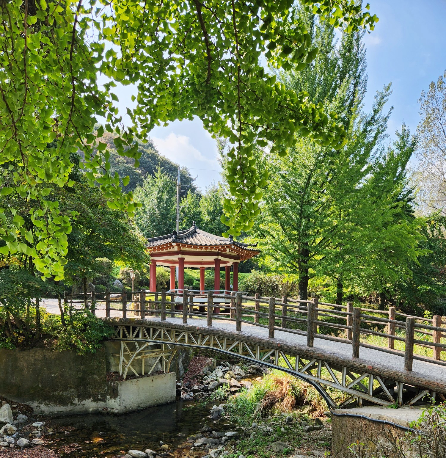 10월 제천 가볼만한곳, 제천 배론성지