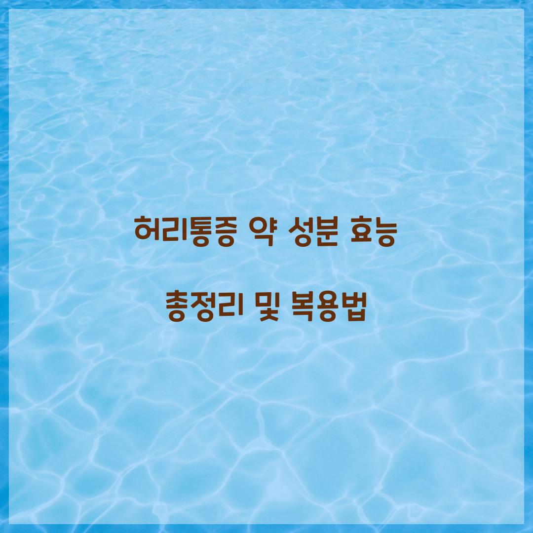 허리통증 약 성분 효능