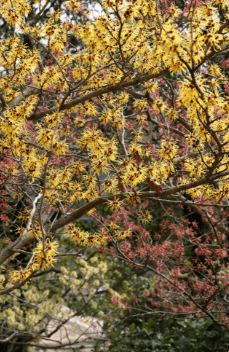 천리포수목원 가든하우스