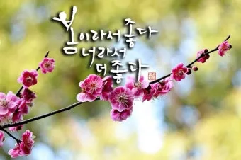 봄 인사말 모음 예시 메일_16