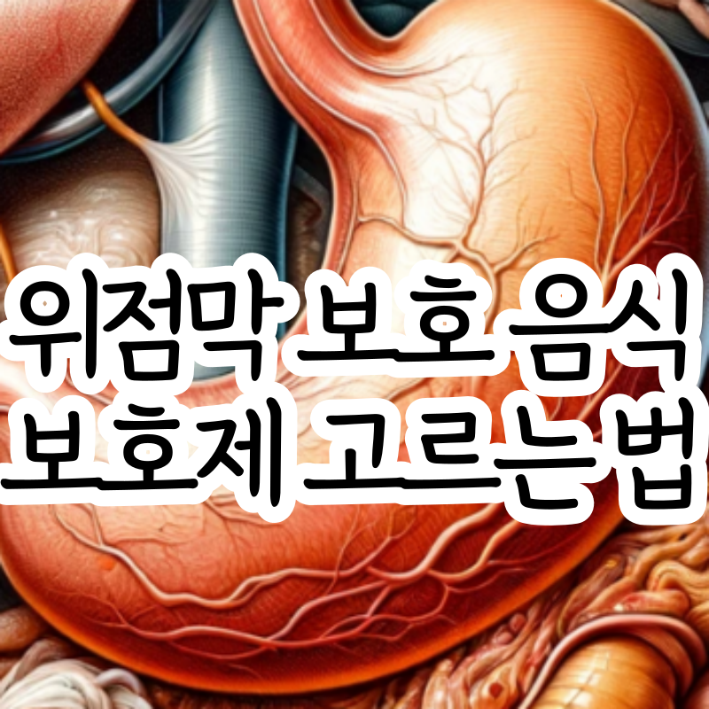 위점막 보호제 위점막 보호에 좋은 음식