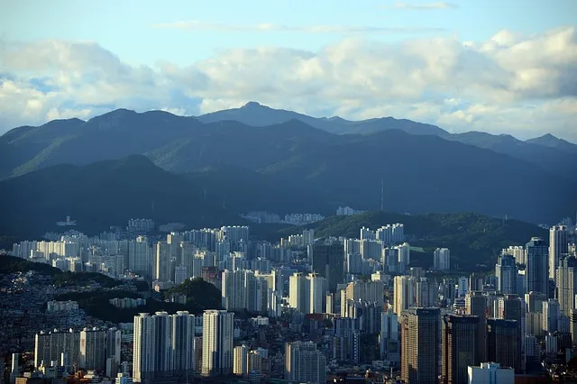 알면 좋은 쿠팡이츠 배달 파트너 수입 정산 방법_8