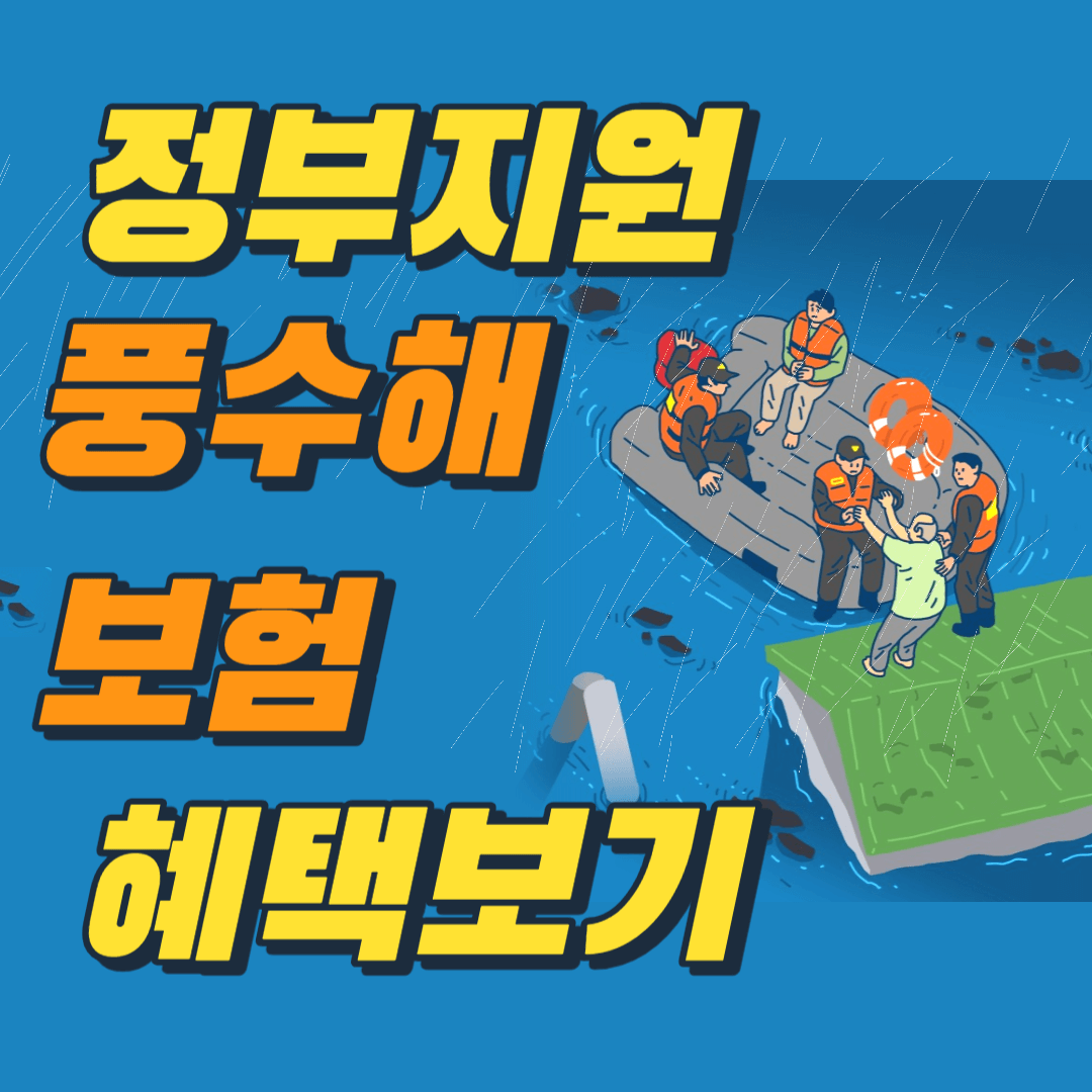 풍수해