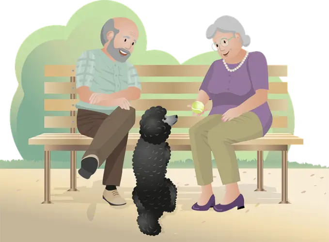 기초연금 수급자격 확인