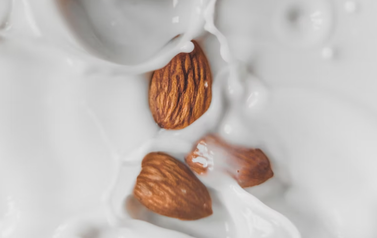 운동 전 식사의 중요성