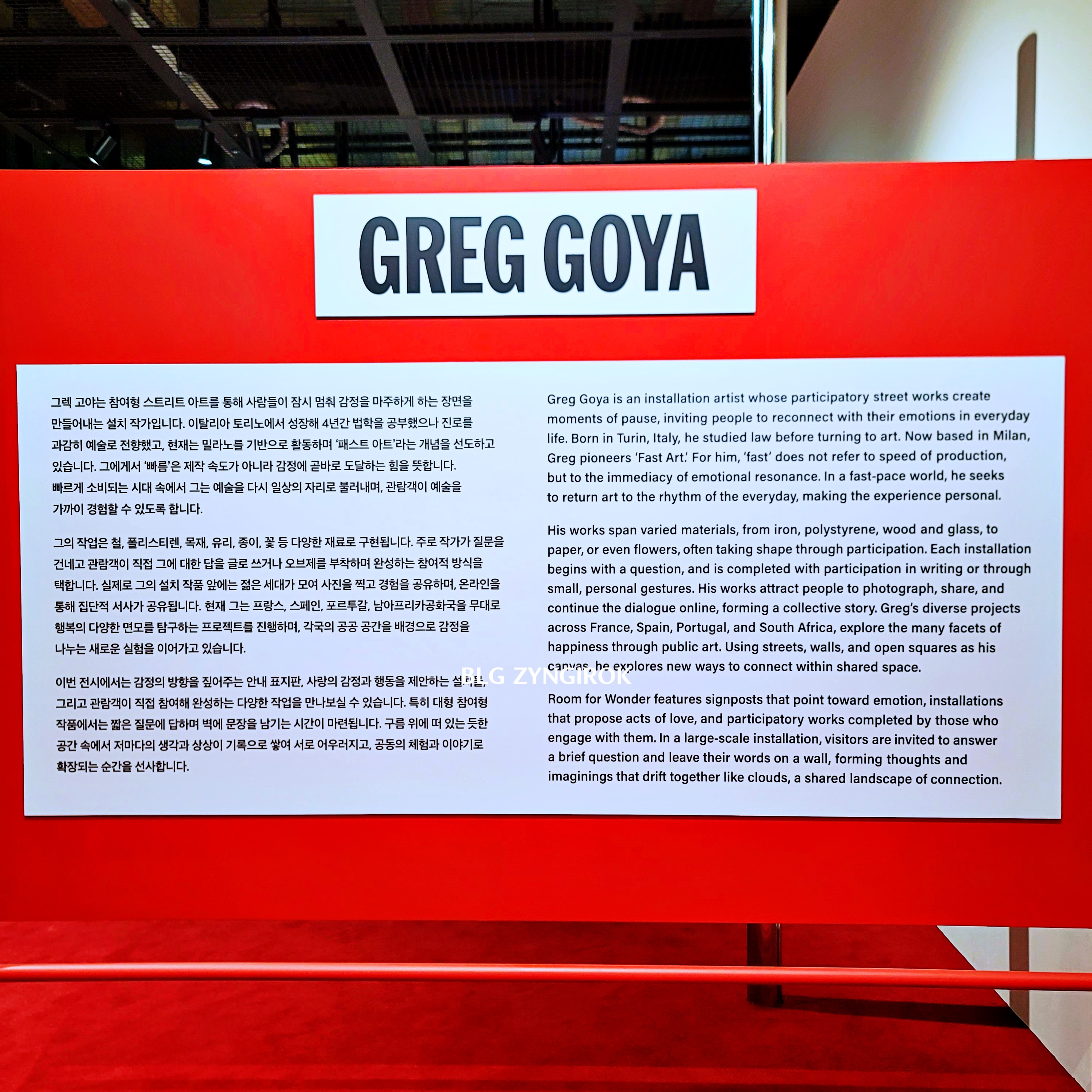 Room for Wonder : GREG GOYA - 작가 설명이다.