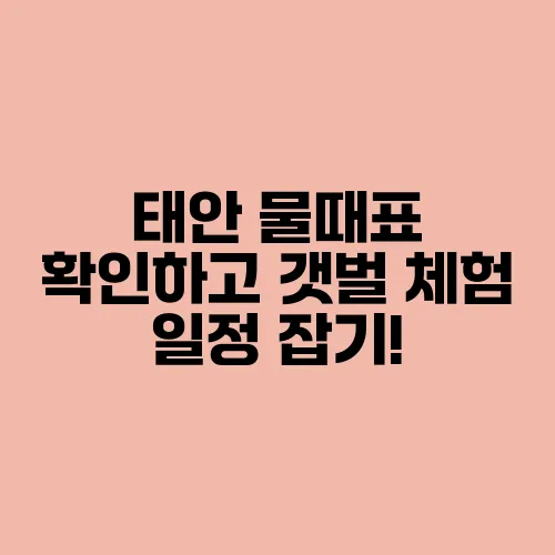 태안 물때표 확인하고 갯벌 체험 일정 잡기!