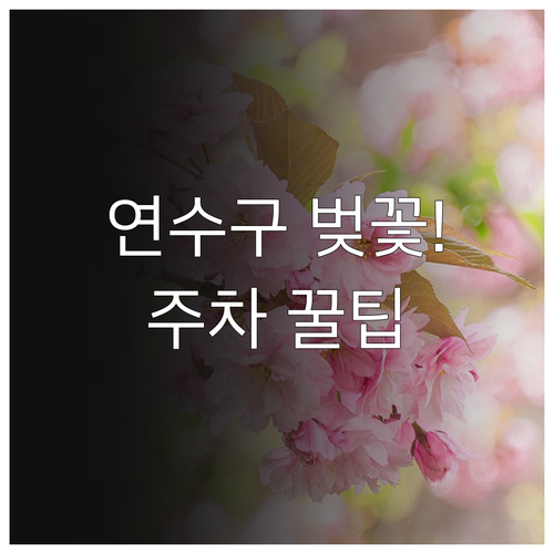 2026년 인천 연수구 벚꽃 개화일 ..