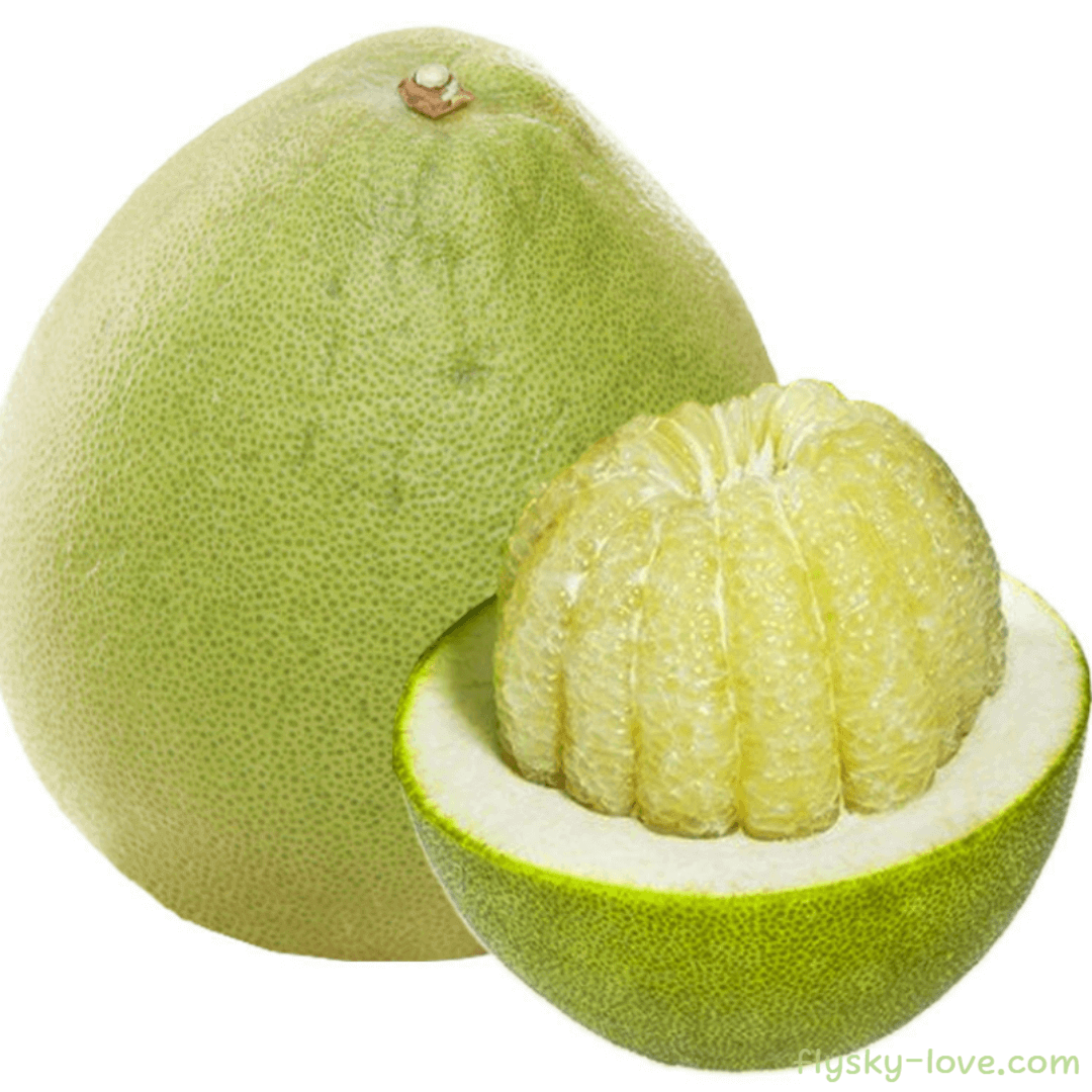 포멜로 (Pomelo) 활용법