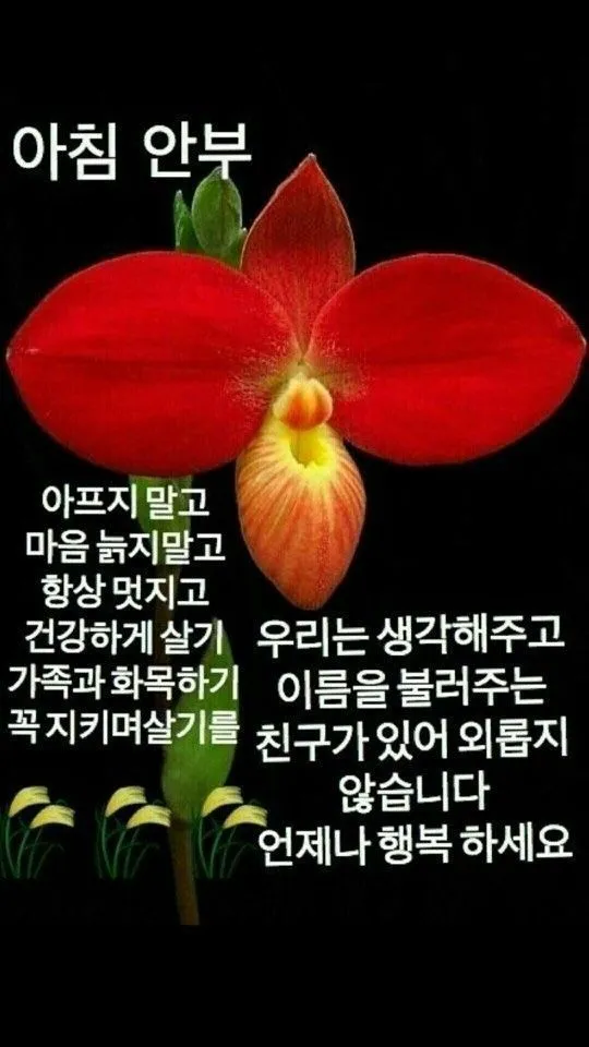 아침 인사 문자 날씨 변화에 맞춘 안부 문장 하루를 여는 표현_8