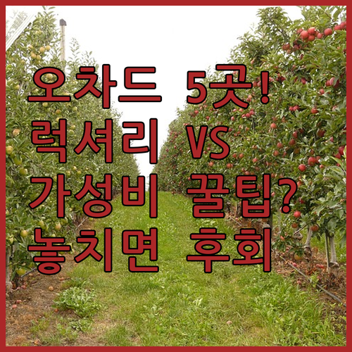 싱가포르 오차드 로드 호텔 5곳 럭셔..